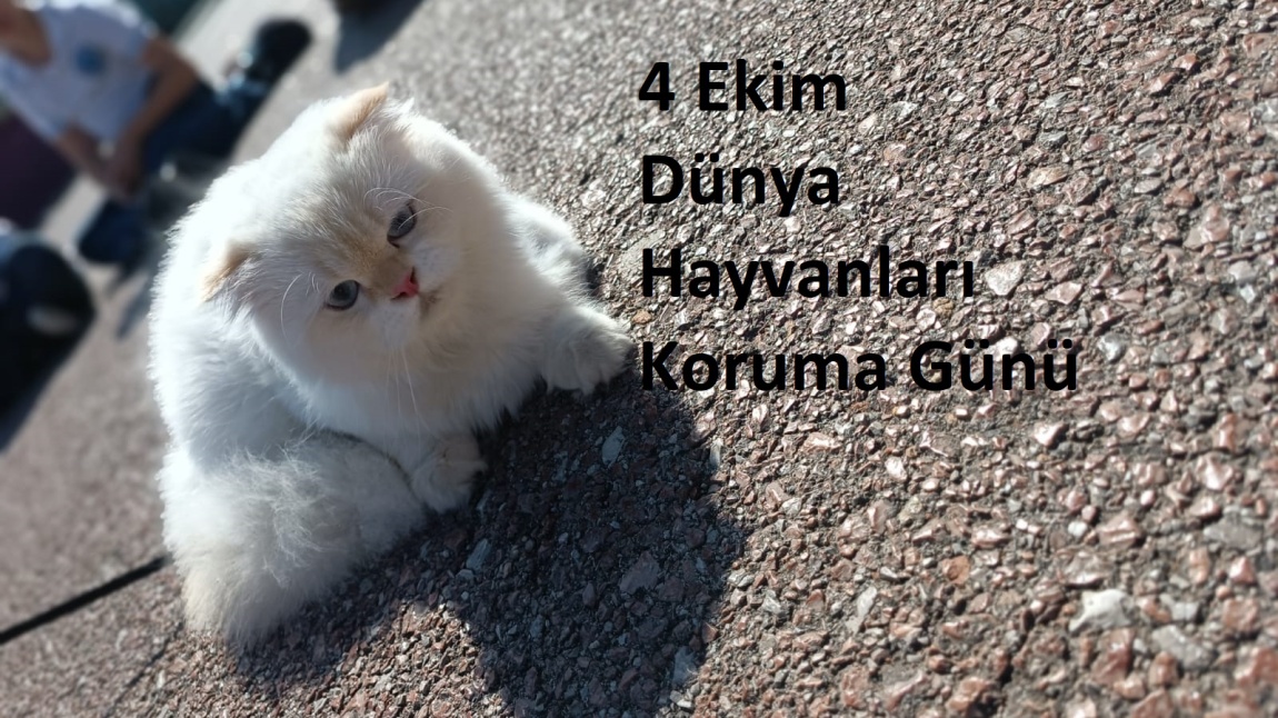 Dünya Hayvanları Koruma Günü